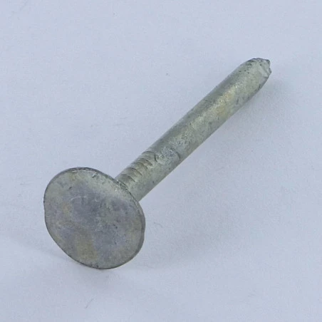 1 X Kg De Pointes ARDOISE Tête Extra Large TEL 3.5X50 Diamètre De Tête: 13.5 Forte Tenue à La Corrosion Acier 1 1 X Kg De Pointes ARDOISE Tête Extra Large TEL 3.5X50 Diamètre De Tête: 13.5 Forte Tenue à La Corrosion Acier