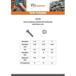 1 X Vis Autotaraudeuse Filet Métaux Tête Cylindrique TC Phillips M2X10 Acier Zingué Blanc -Vis Express Magasin vis autotaraudeuse filet metaux tete cylindrique tc phillips m2x10 acier zingue blanc 2