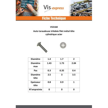 1 X Vis Autotaraudeuse Filet Métaux Tête Cylindrique TC Phillips M2X5 Acier Zingué Blanc 3 1 X Vis Autotaraudeuse Filet Métaux Tête Cylindrique TC Phillips M2X5 Acier Zingué Blanc – Image 3