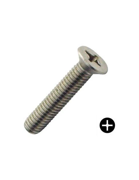 1 X Vis Autotaraudeuse Filet Métaux Tête Fraisée TF Phillips Acier Zingué Blanc 1.7X6 1 1 X Vis Autotaraudeuse Filet Métaux Tête Fraisée TF Phillips Acier Zingué Blanc 1.7X6