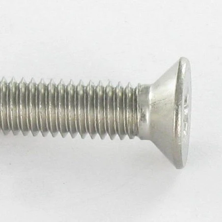 1 X Vis Autotaraudeuse Inox A2 Tête Fraisée TF Pozi 6X25 3 1 X Vis Autotaraudeuse Inox A2 Tête Fraisée TF Pozi 6X25 – Image 3