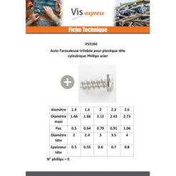 1000 X Vis Autotaraudeuse Pour Plastique Tête Cylindrique TC Phillips 2X4 Acier Zingué -Vis Express Magasin vis autotaraudeuse pour plastique tete cylindrique tc phillips 2x4 acier zingue 2