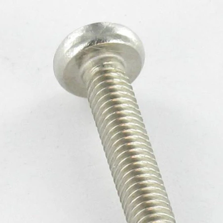 1 X Vis Autotaraudeuse Tête Cylindrique Bombée TCB Pozi 6X16 Inox A2 4 1 X Vis Autotaraudeuse Tête Cylindrique Bombée TCB Pozi 6X16 Inox A2 – Image 4