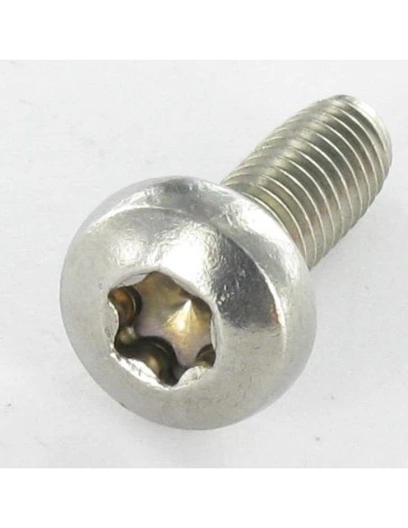 1 X Vis Autotaraudeuse Tête Cylindrique Bombée TCB TORX T20 4X8 Inox A2 2 1 X Vis Autotaraudeuse Tête Cylindrique Bombée TCB TORX T20 4X8 Inox A2 – Image 2