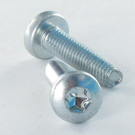 1 X Vis Autotaraudeuse Tête Cylindrique Large TCL 6X20 TORX T30 Acier Zingué 1 1 X Vis Autotaraudeuse Tête Cylindrique Large TCL 6X20 TORX T30 Acier Zingué