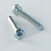1 X Vis Autotaraudeuse Tête Cylindrique Large TCL Pozi 2.5X10 Acier Zingué