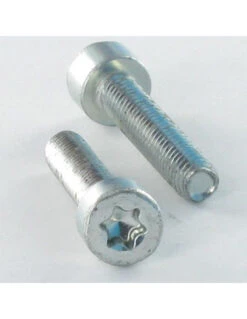 1 X Vis Autotaraudeuse Tête Cylindrique TC 4X12 TORX T20 Acier Zingué Blanc