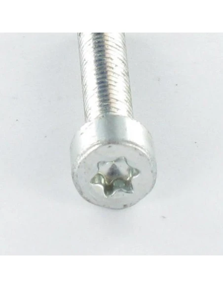 1 X Vis Autotaraudeuse Tête Cylindrique TC 4X25 TORX T20 Acier Zingué 2 1 X Vis Autotaraudeuse Tête Cylindrique TC 4X25 TORX T20 Acier Zingué – Image 2