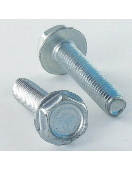 1 X Vis Autotaraudeuse Tête Hexagonale TH Embase Collerette Lisse 4X20 Acier Zingué 1 1 X Vis Autotaraudeuse Tête Hexagonale TH Embase Collerette Lisse 4X20 Acier Zingué