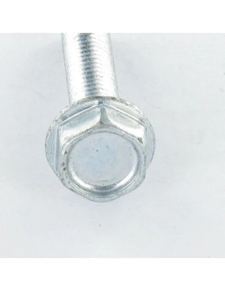 1 X Vis Autotaraudeuse Tête Hexagonale TH Embase Collerette Lisse 6X10 Acier Zingué 4 1 X Vis Autotaraudeuse Tête Hexagonale TH Embase Collerette Lisse 6X10 Acier Zingué – Image 4