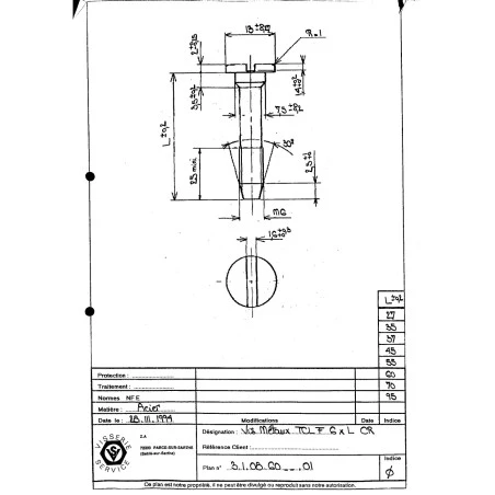 1 X Vis Métaux Tête Cylindrique Large TCL Fendue M6X48 Cranté Acier Brut 2 1 X Vis Métaux Tête Cylindrique Large TCL Fendue M6X48 Cranté Acier Brut – Image 2