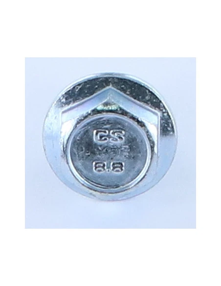 1 X Vis Métaux Tête Hexagonale TH M12X40 Embase Collerette Crantée Acier Zingué Blanc 2 1 X Vis Métaux Tête Hexagonale TH M12X40 Embase Collerette Crantée Acier Zingué Blanc – Image 2