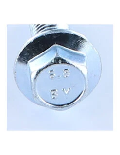 1 X Vis Métaux Tête Hexagonale TH M12X40 Embase Collerette Crantée Acier Zingué Blanc 7 1 X Vis Métaux Tête Hexagonale TH M12X40 Embase Collerette Crantée Acier Zingué Blanc -Vis Express Magasin vis metaux tete hexagonale th m12x40 embase collerette crantee acier zingue blanc 3