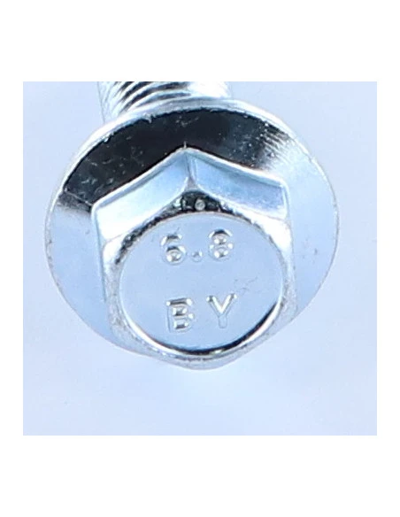 1 X Vis Métaux Tête Hexagonale TH M12X40 Embase Collerette Crantée Acier Zingué Blanc 4 1 X Vis Métaux Tête Hexagonale TH M12X40 Embase Collerette Crantée Acier Zingué Blanc – Image 4