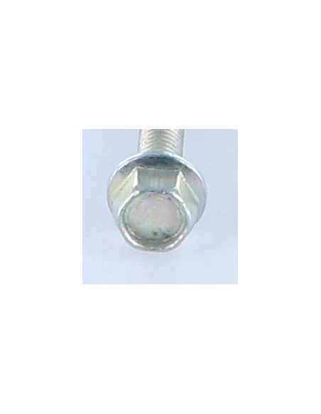 1 X Vis Métaux Tête Hexagonale TH M6X40 Acier Zingué Blanc Embase Collerette Crantée 2 1 X Vis Métaux Tête Hexagonale TH M6X40 Acier Zingué Blanc Embase Collerette Crantée – Image 2