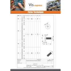 1 X Vis Poelier Tête Ronde Large TRL Clé De 4 HC4 M7X50 Pas De 100 Acier Zingué -Vis Express Magasin vis poelier tete ronde large trl cle de 4 hc4 m7x50 pas de 100 acier zingue 4