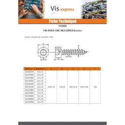 1 X Vis Tôle CHC BTR Clé De 5 HC5 4.8X60 Acier Zingué -Vis Express Magasin vis tole chc btr cle de 5 hc5 48x60 acier zingue 3