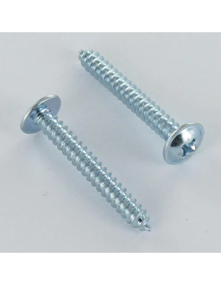 1 X Vis Tôle Poelier Tête Ronde Large Tête Ronde Large Pozi 4.8X9.5 Acier Zingué A/POINT 1 1 X Vis Tôle Poelier Tête Ronde Large Tête Ronde Large Pozi 4.8X9.5 Acier Zingué A/POINT