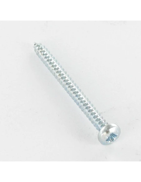 1 X VIS TOLE TETE CYLINDRIQUE BOMBEE LARGE POZI 6.3X31 ACIER ZING BLANC 1 1 X VIS TOLE TETE CYLINDRIQUE BOMBEE LARGE POZI 6.3X31 ACIER ZING BLANC
