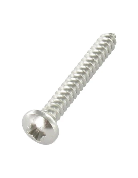 1 X Vis Tôle Tête Cylindrique Large TCL Pozi 4.8X60 Inox A4 1 1 X Vis Tôle Tête Cylindrique Large TCL Pozi 4.8X60 Inox A4