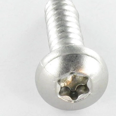 1 X Vis Tôle Tête Cylindrique Large Tête Cylindrique Bombée Large TCBL 4.2X13 Inox A2 TORX T20 RAL7006 2 1 X Vis Tôle Tête Cylindrique Large Tête Cylindrique Bombée Large TCBL 4.2X13 Inox A2 TORX T20 RAL7006 – Image 2