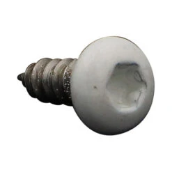 1 X Vis Tôle Tête Cylindrique Large Tête Cylindrique Bombée Large TCBL 4.2X13 Inox A2 TORX T20 RAL9010 Blanc