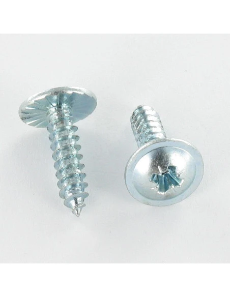 1 X Vis Tôle Tête Cylindrique Large Tête Cylindrique Bombée Large TCBL Pozi 2.9X6.5 Cranté Acier Zingué 1 1 X Vis Tôle Tête Cylindrique Large Tête Cylindrique Bombée Large TCBL Pozi 2.9X6.5 Cranté Acier Zingué