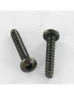 1 X Vis Tôle Tête Cylindrique Large Tête Cylindrique Bombée Large TCBL Pozi 2.9X9.5 Acier Zingué Noir Sans Pointe