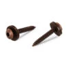 1 X Vis Tôle Tête Cylindrique TC TORX T15 + Rondelle Nylon 3.9X19 Inox A2 Marron