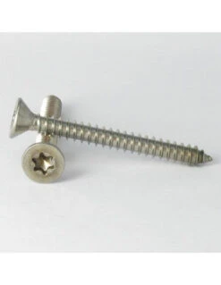 1 X Vis Tôle Tête Fraisée TF 3.9X25 TORX T15 Inox A2