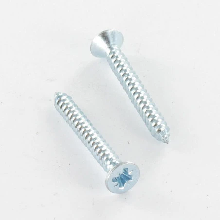 1 X Vis Tôle Tête Fraisée TF Pozi 3.5X16 Acier Zingué 1 1 X Vis Tôle Tête Fraisée TF Pozi 3.5X16 Acier Zingué